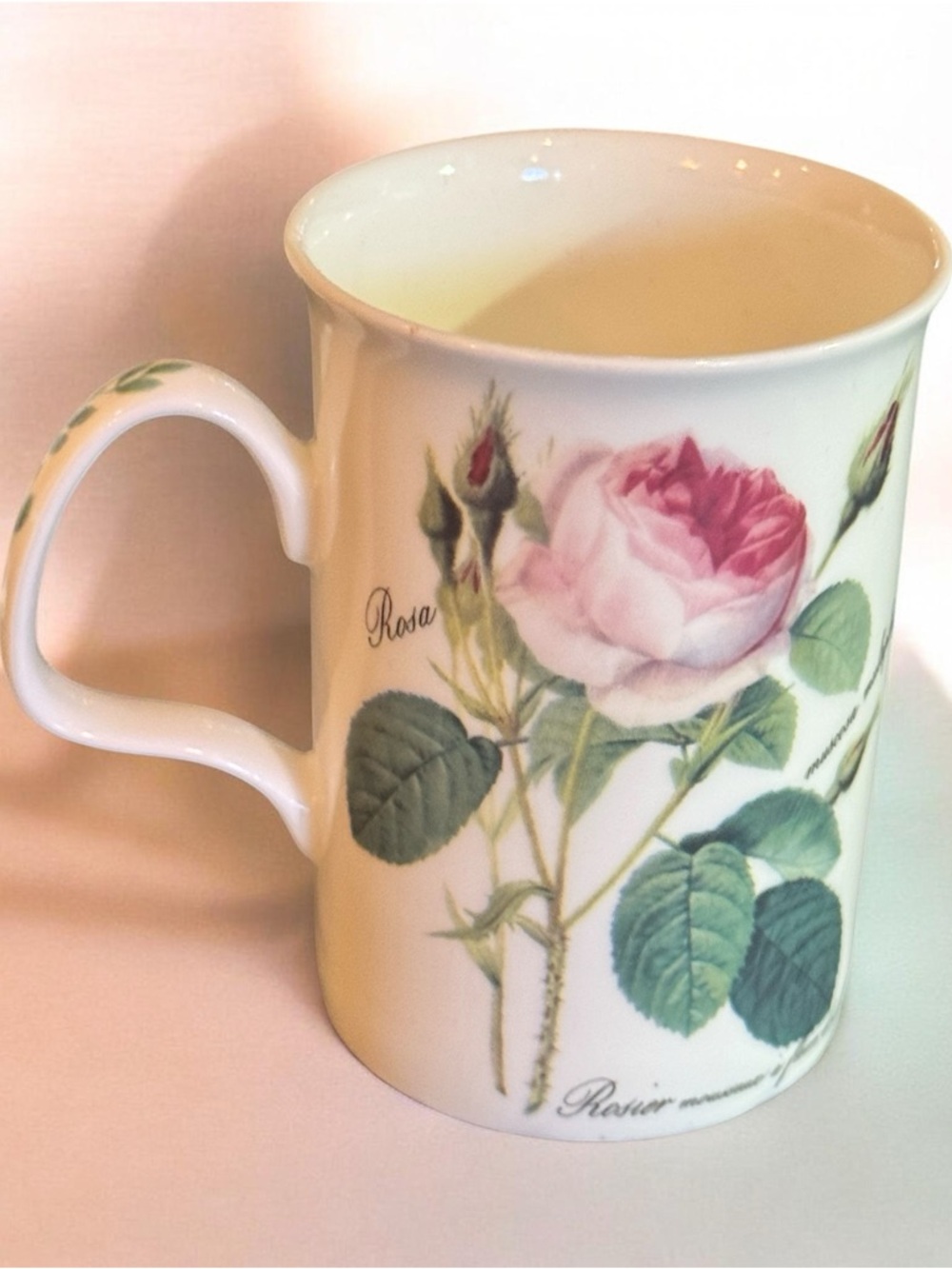 Roy Kirkham Redoute Roses Coffee Mug LN